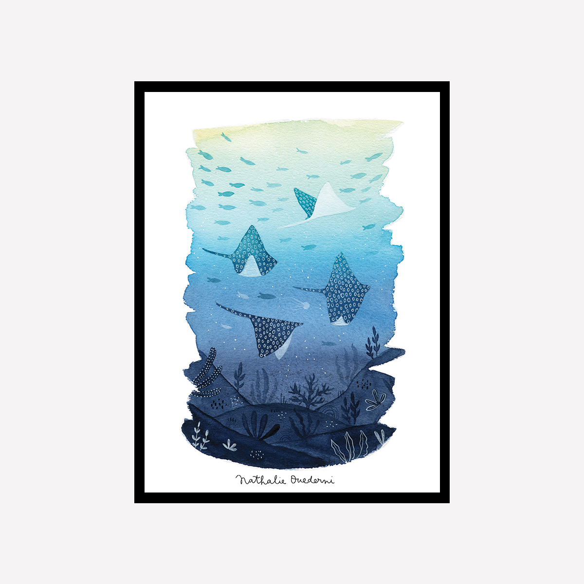 Four Rays Swimming Art Print