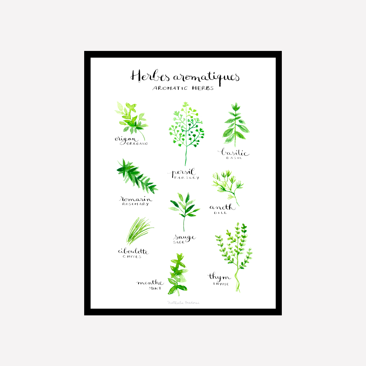 Aromatic Herbs Art Print