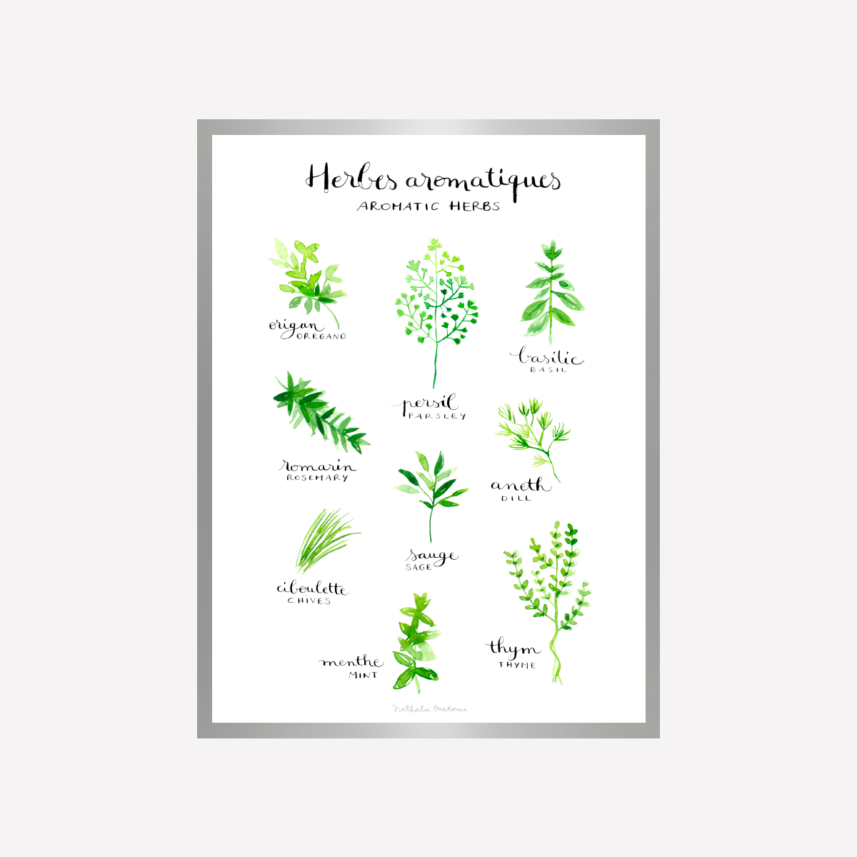 Aromatic Herbs Art Print