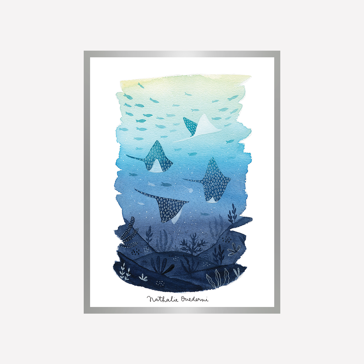 Four Rays Swimming Art Print