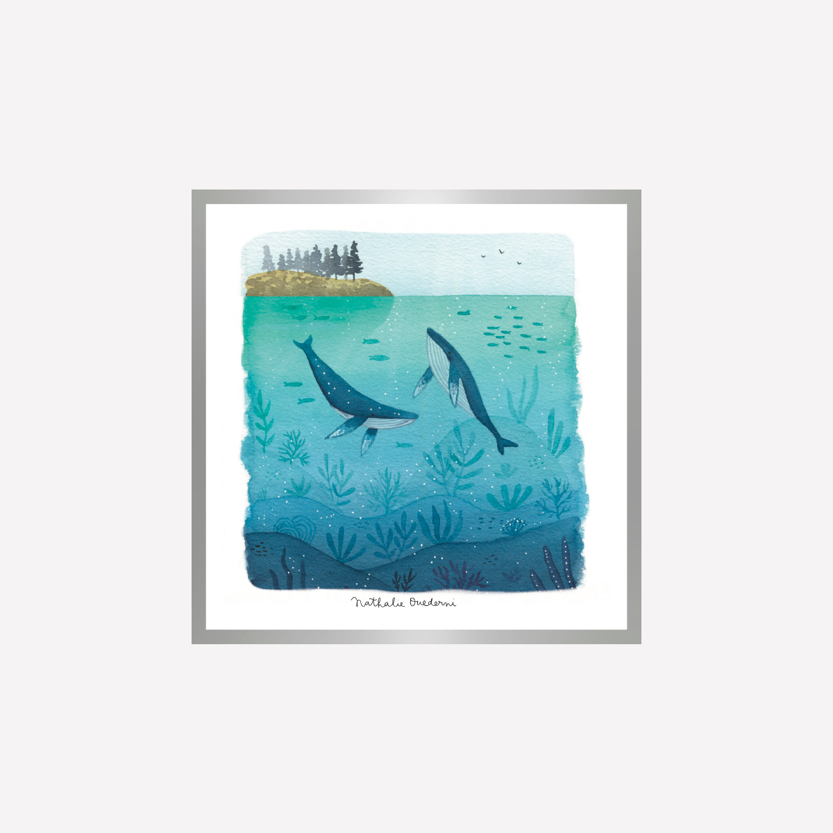 Two Whales Swimming Art Print