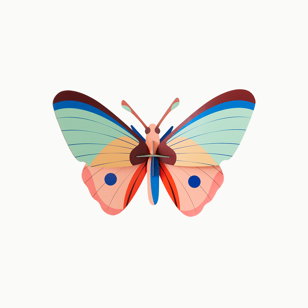 Cattleheart Butterfly