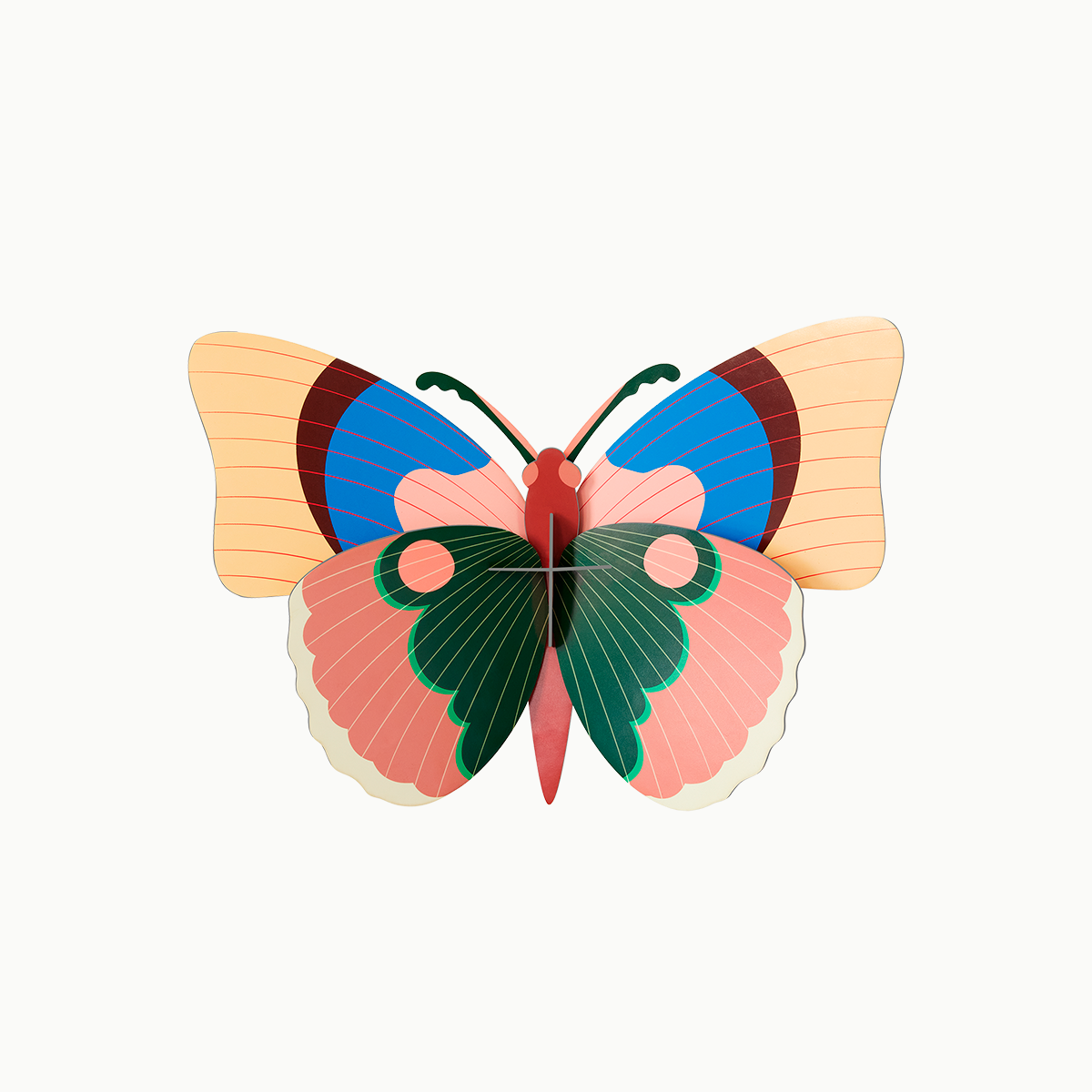 Cepora Butterfly