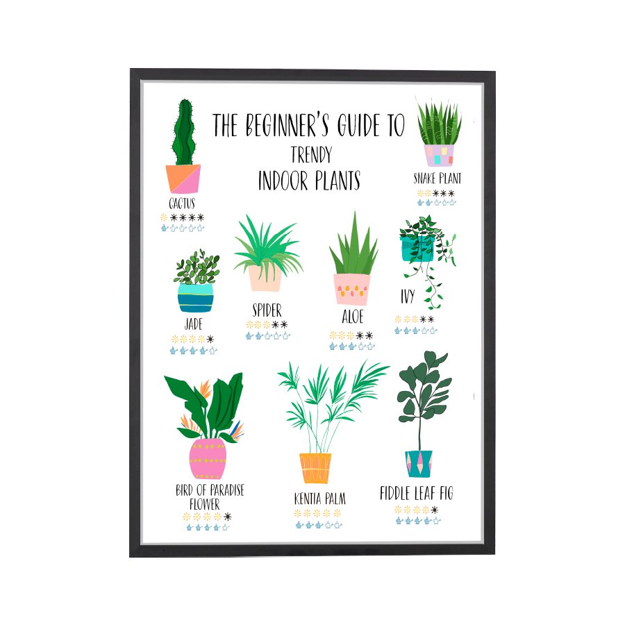 Indoor Plants Art Print - DesignPlace