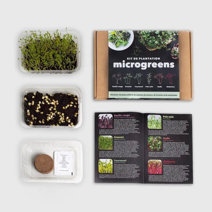 Kit Autocultivo Microgreens - DesignPlace