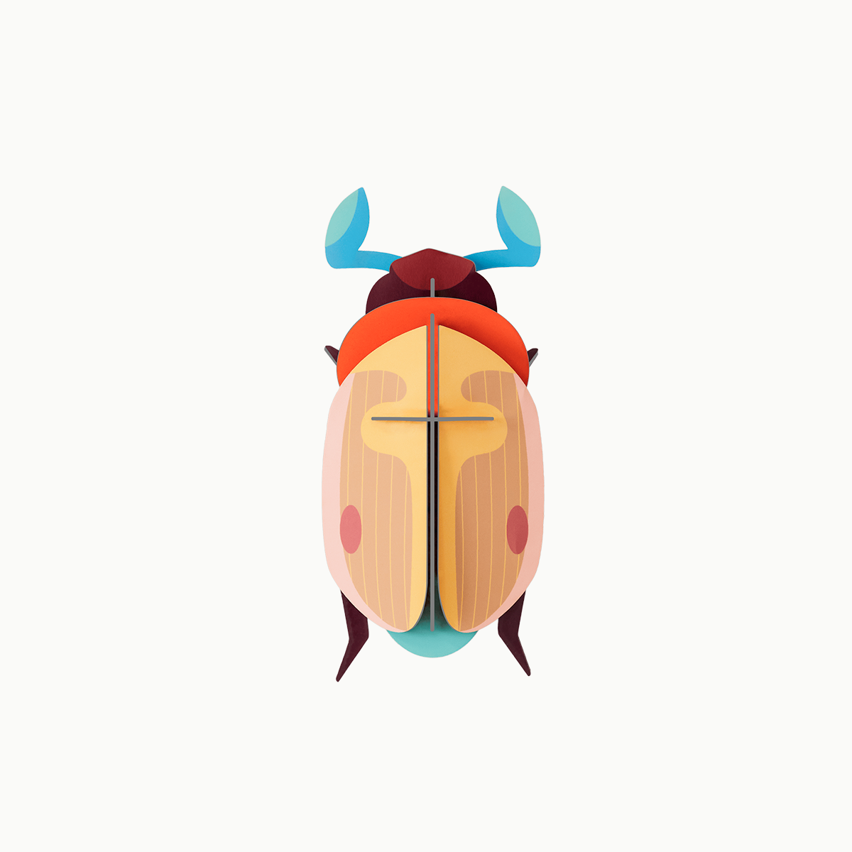 Lemon Fruit Beetle