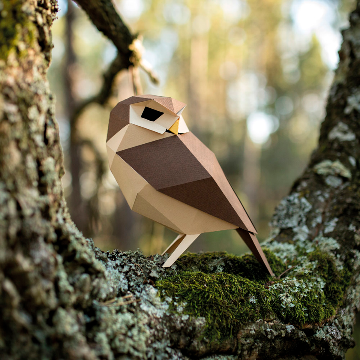 Athene Noctua paper bird