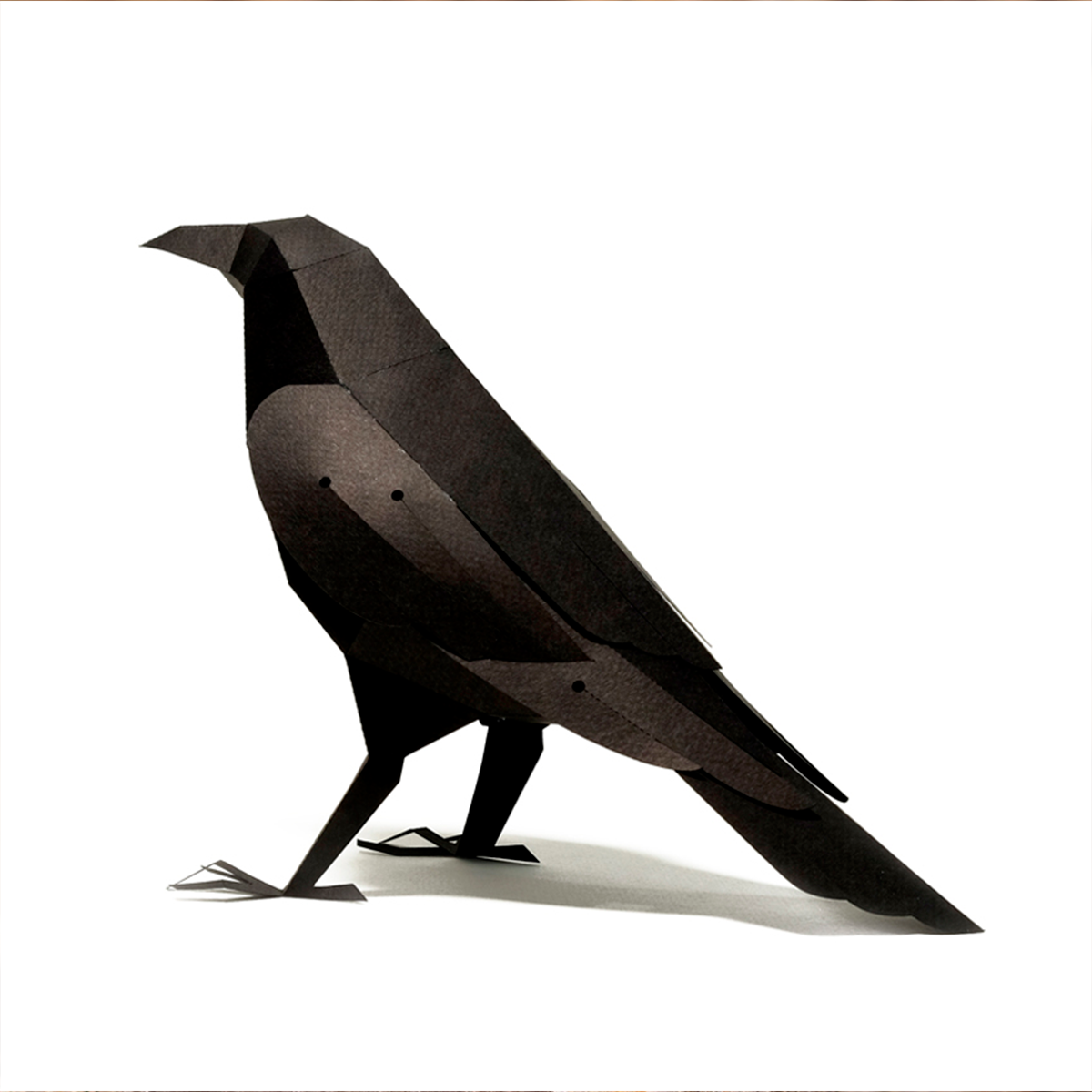 Corvus Corax Paper bird