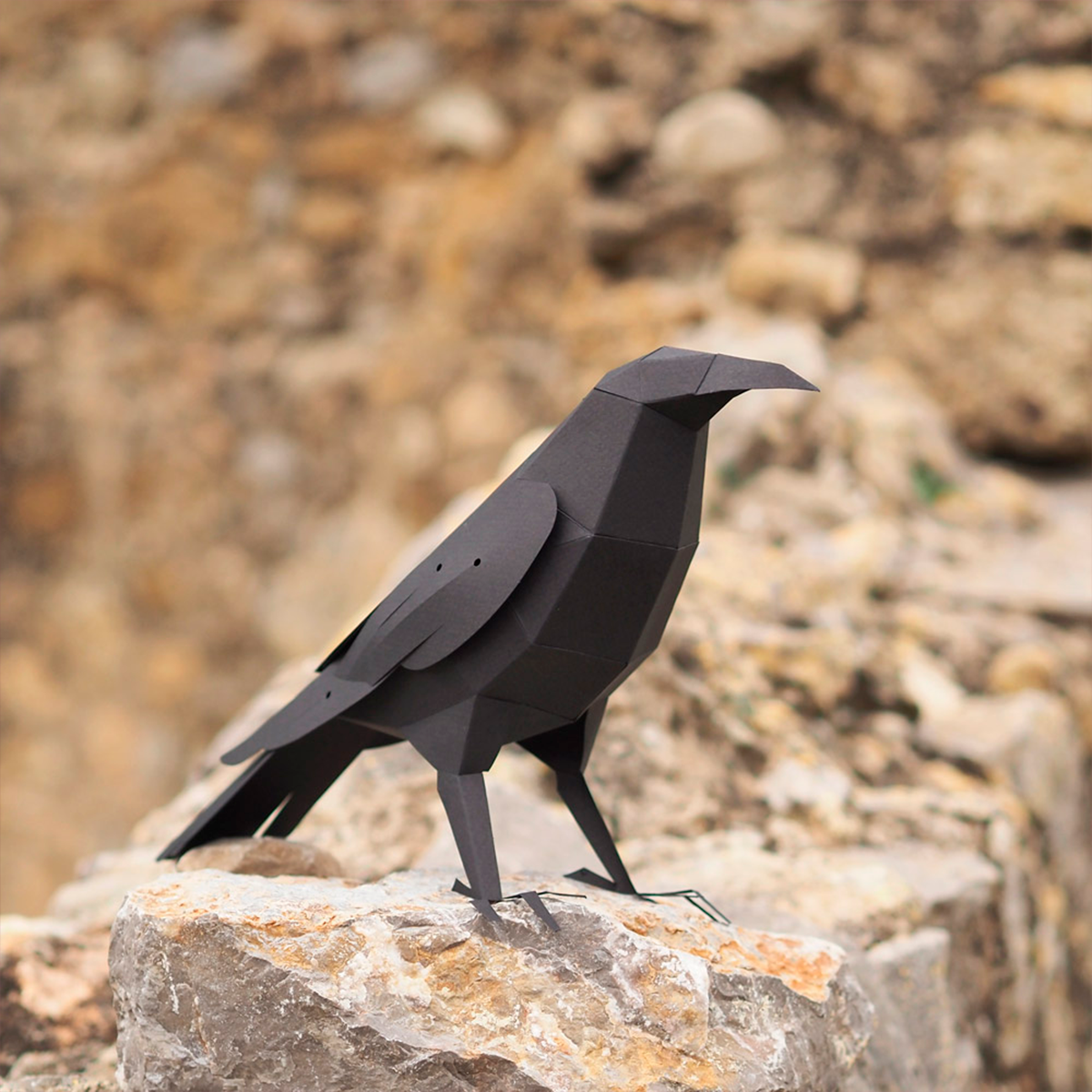 Corvus Corax Paper bird