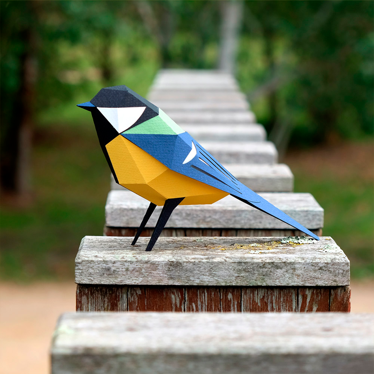 Parus Major Paper Bird