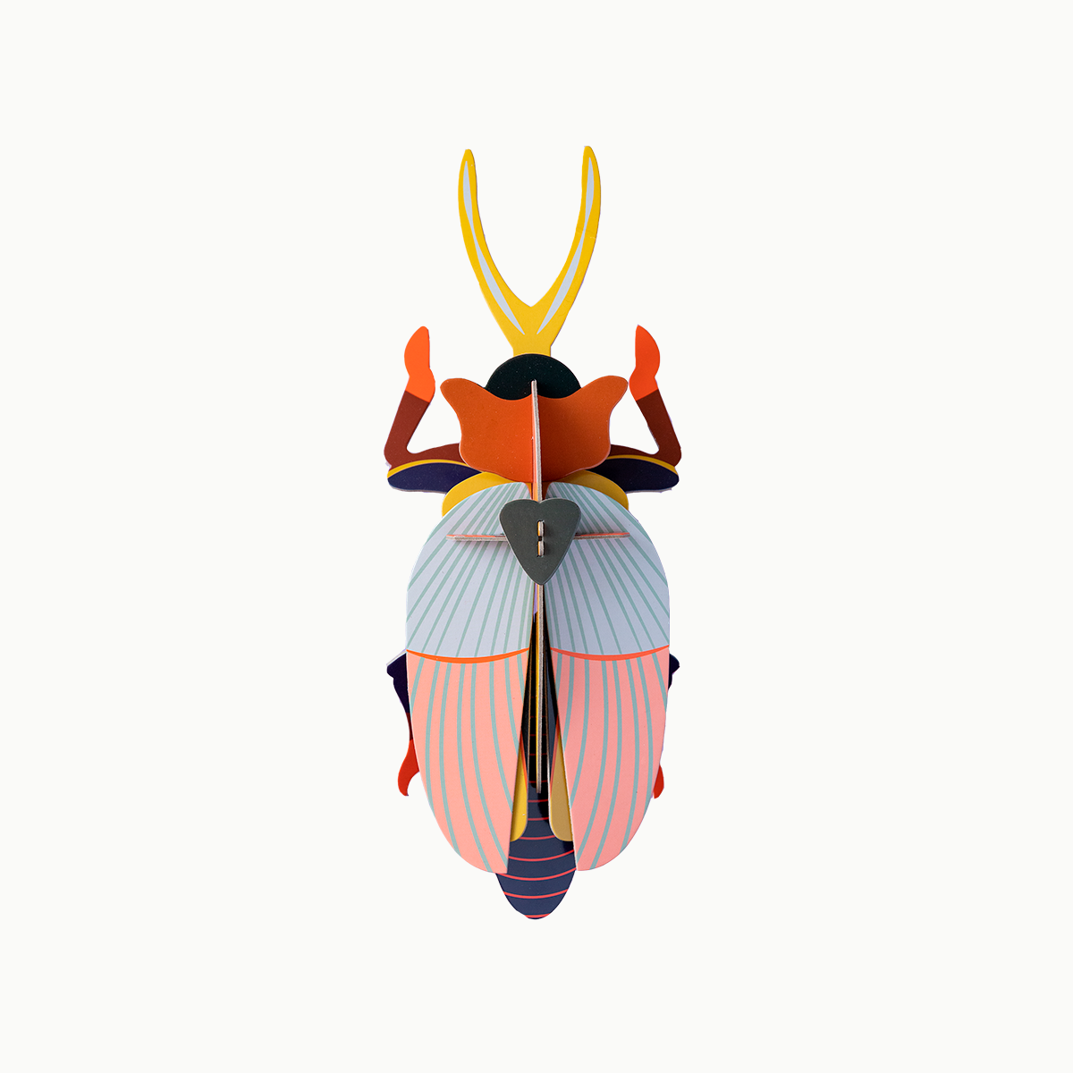 Rhinoceros Beetle