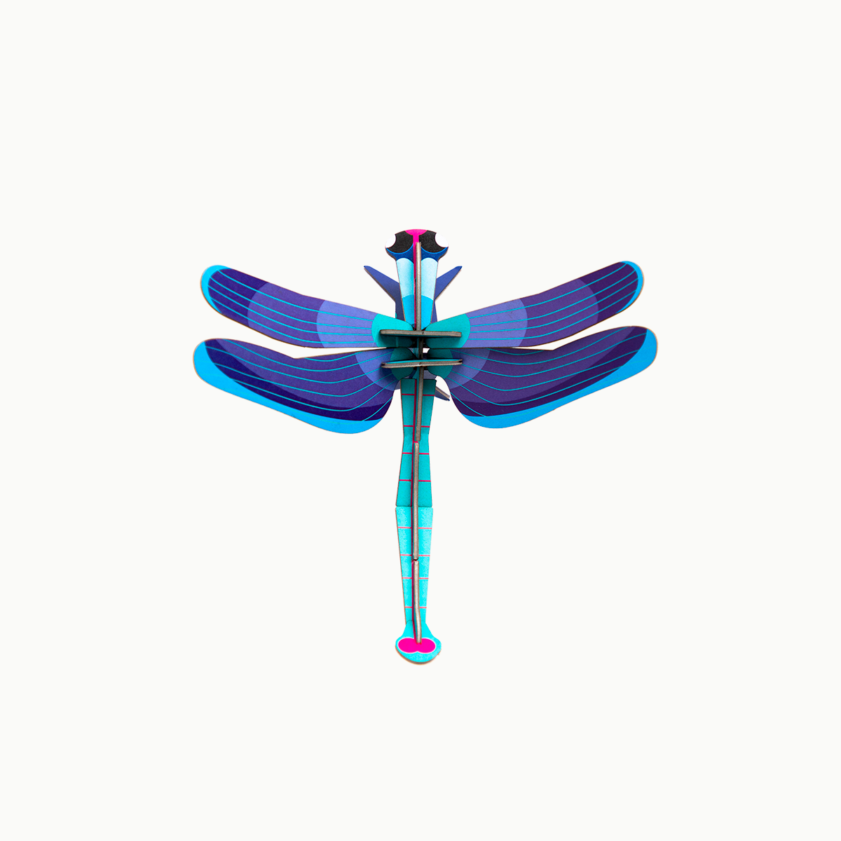 Sapphire Dragonfly