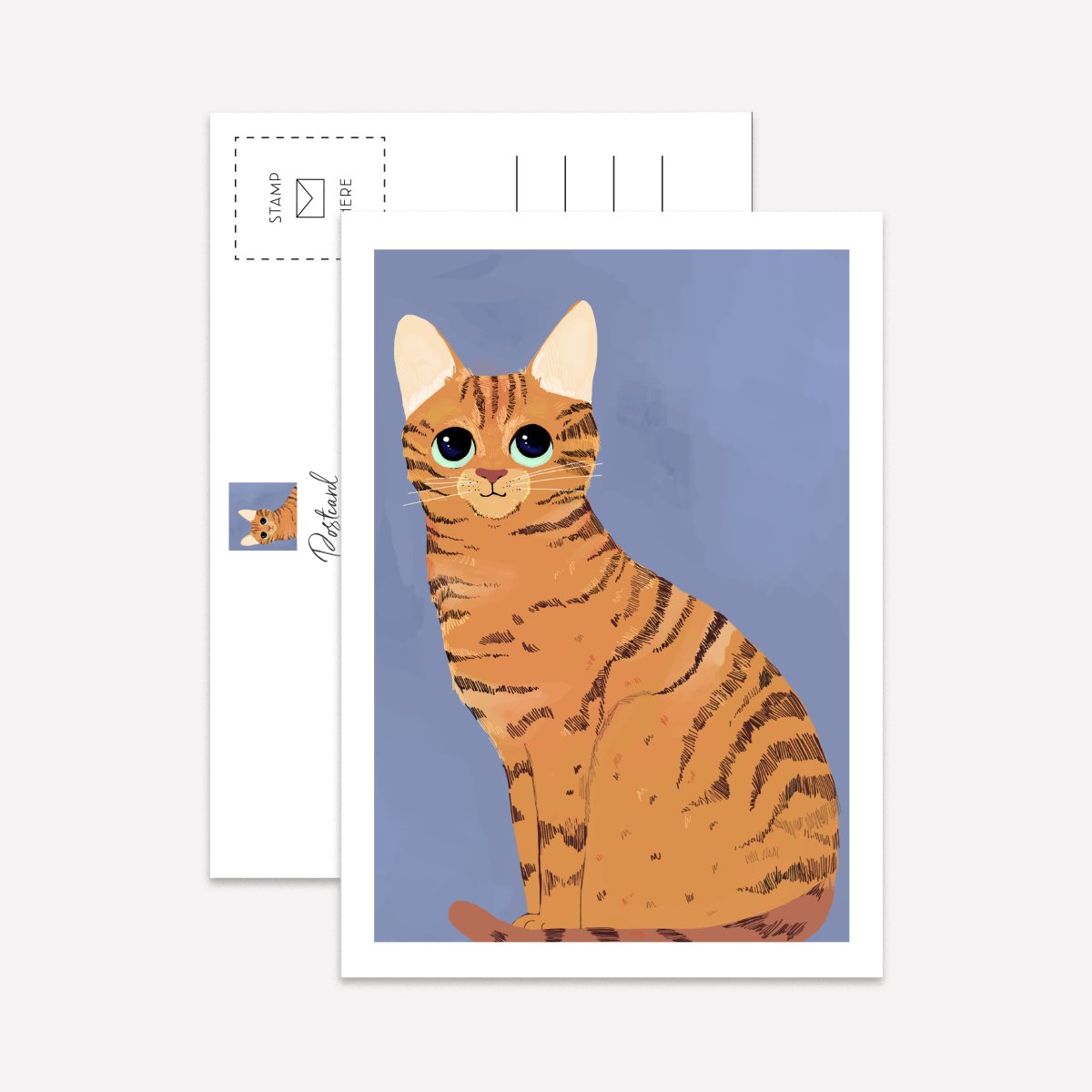 We Love Cats Postcard Pack - DesignPlace