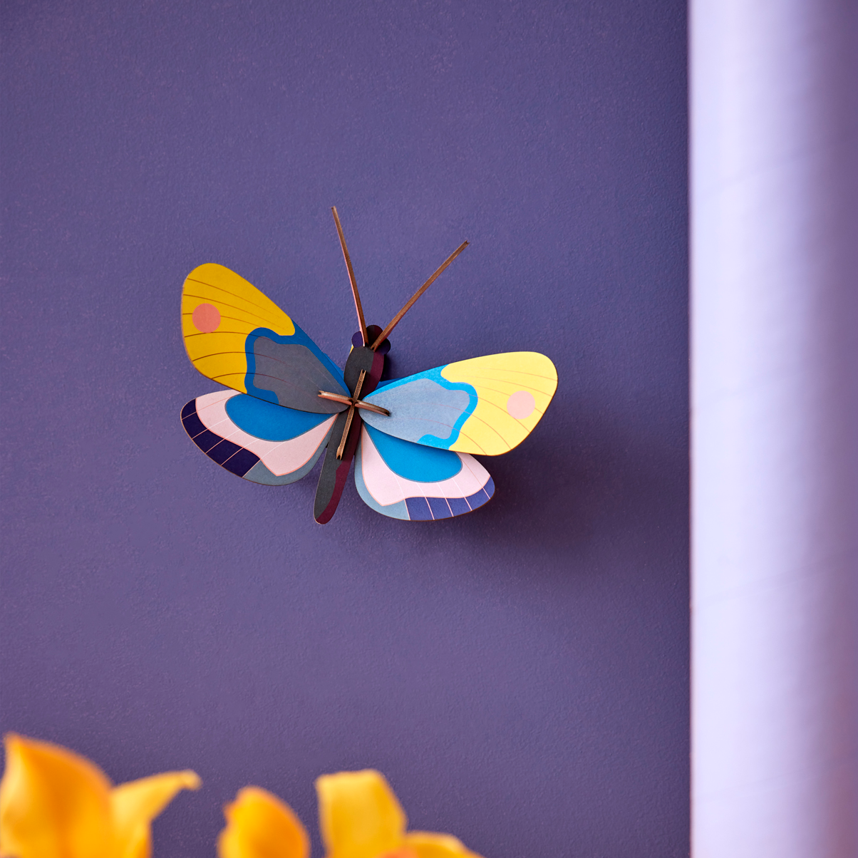 Yellow Monarch Butterfly