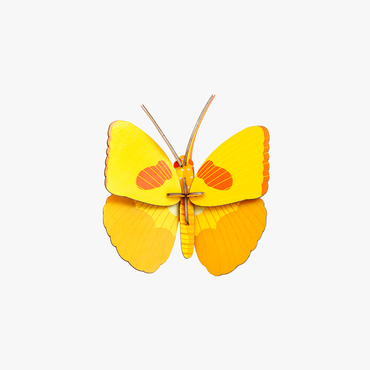 Yellow Butterfly